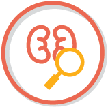 eGFR Testing Icon 3 eGFR Testing Icon 3
